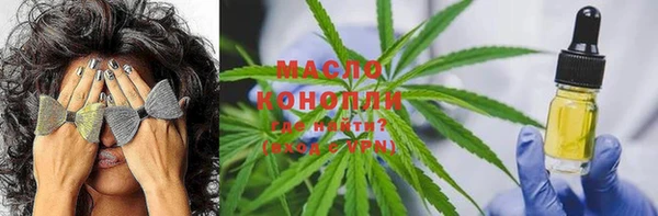 молекула духа Новокубанск