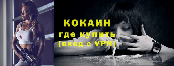 первитин Новодвинск