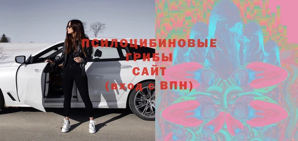первитин Новодвинск