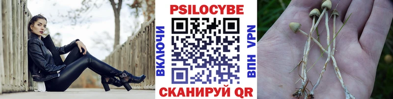 Псилоцибиновые грибы MAGIC MUSHROOMS  Ясногорск 